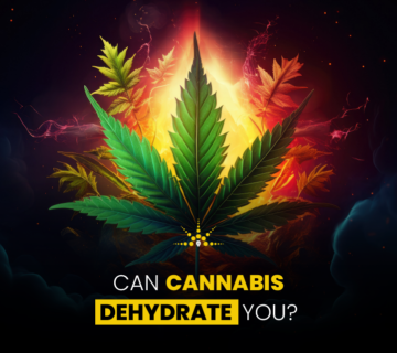 Can Cannabis Dehydrate You