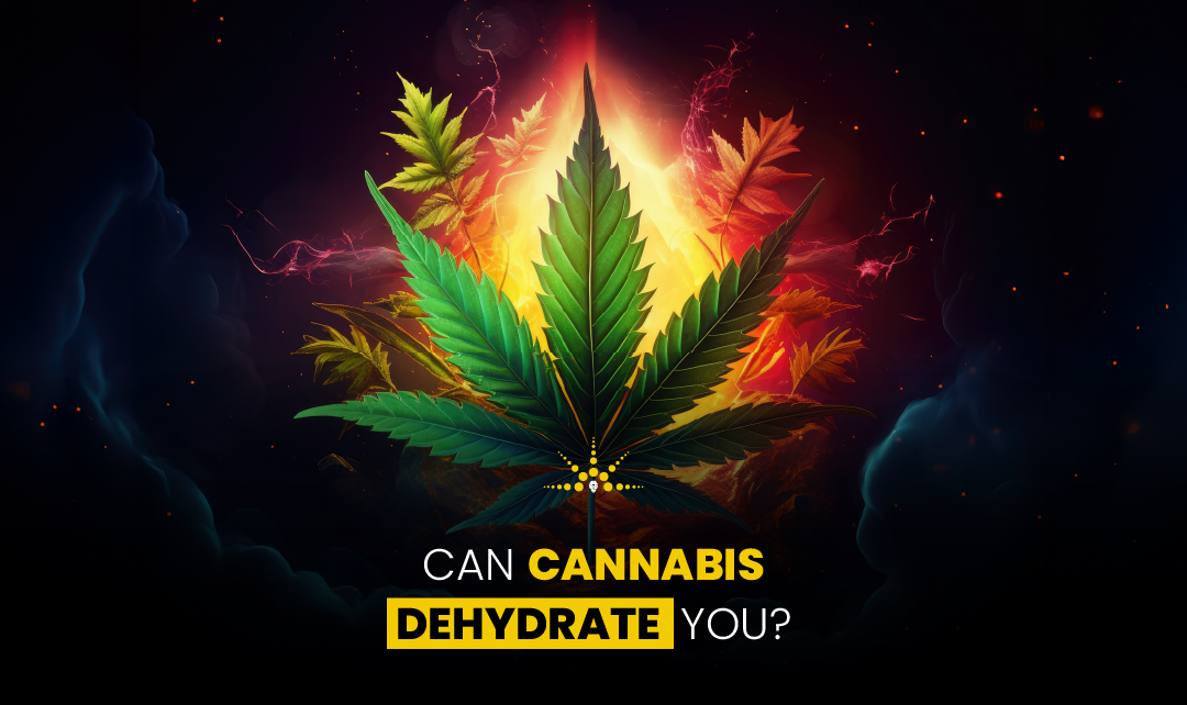 Can Cannabis Dehydrate You
