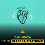 Can Indica Cause Heart Palpitations
