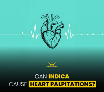 Can Indica Cause Heart Palpitations