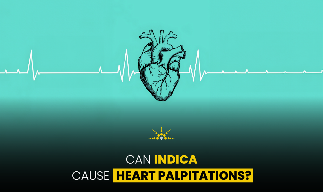 Can Indica Cause Heart Palpitations